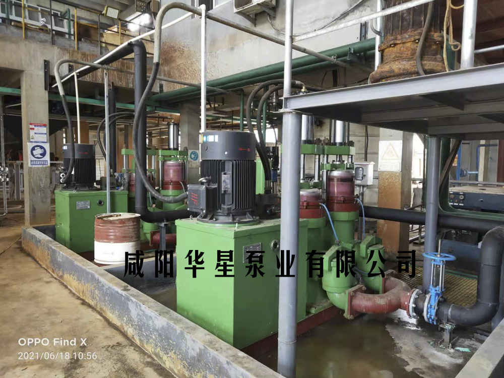 壓濾機進料泵處理市政污水視頻